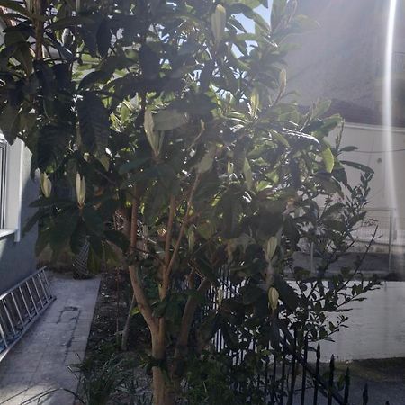 Agelikis' Apartments Nea Kallikrateia Eksteriør billede